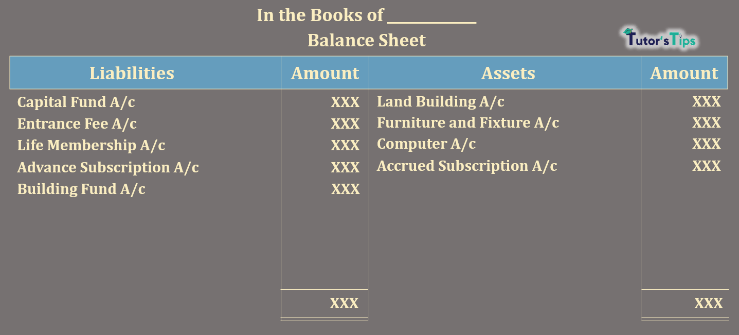 Balance Sheet-Not-for-Profit Organisations