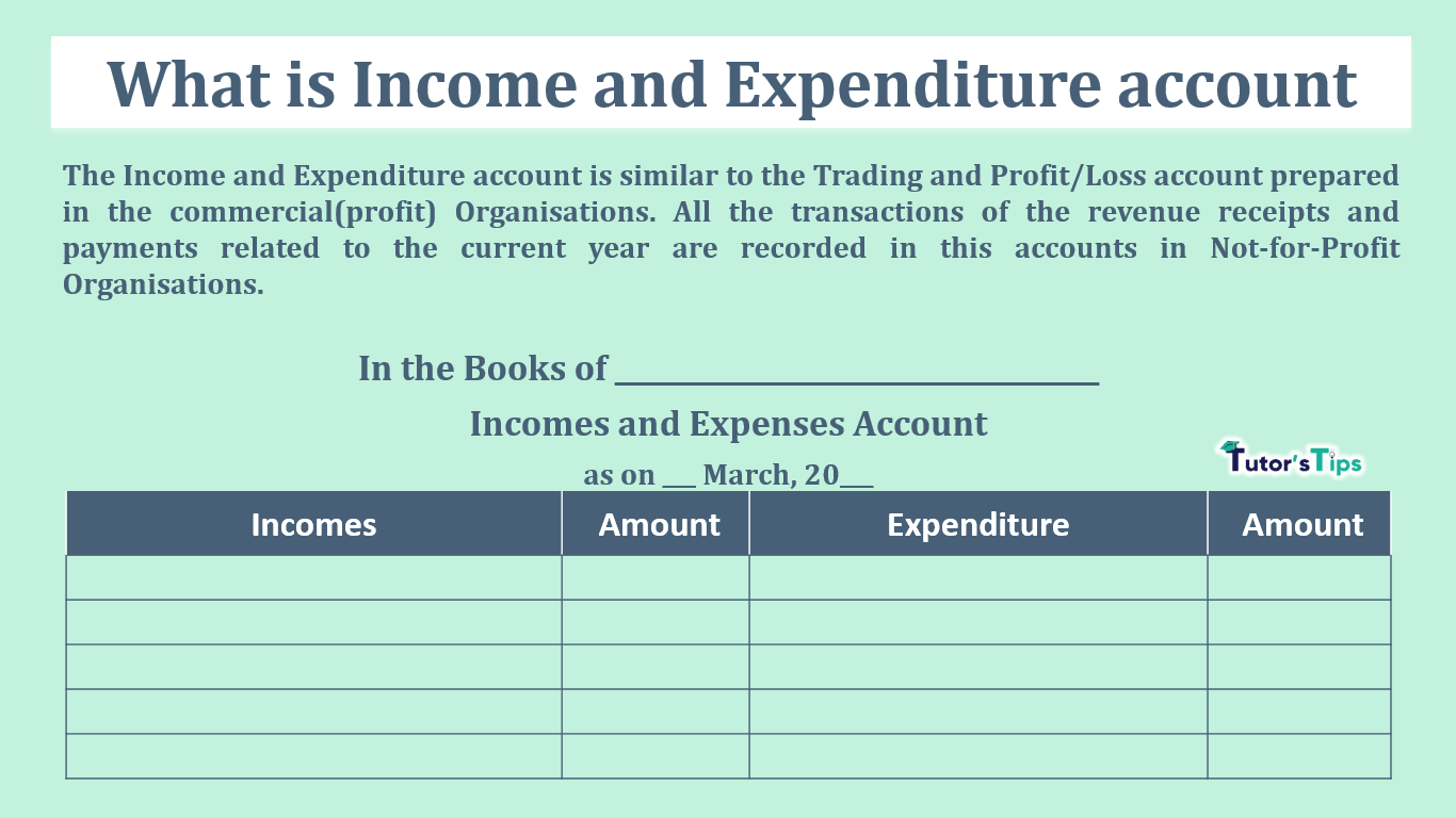 What is Incomes and Expenditures Account - format in Excel & PDF