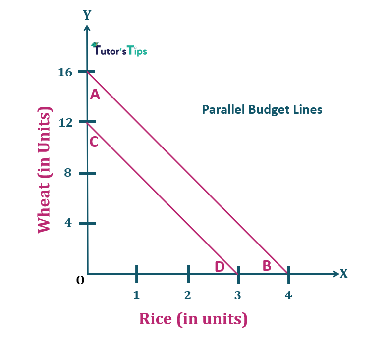 3.Parallel budget lines-Properties of Budget Line