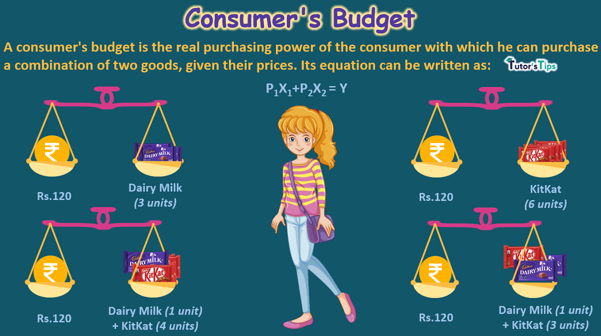 Consumer's Budget- Budget set and Budget Line