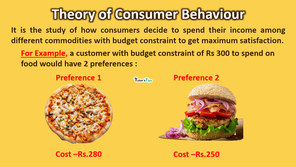 Theory of Consumer Behaviour