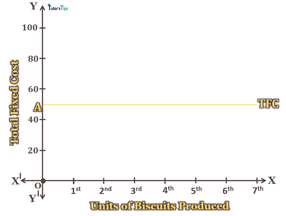Fixed Cost - Short Run Costs