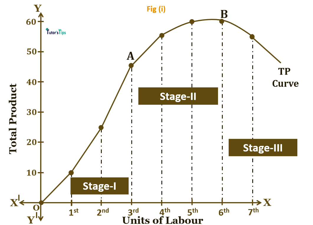 Law of variable proportions - fig(i)