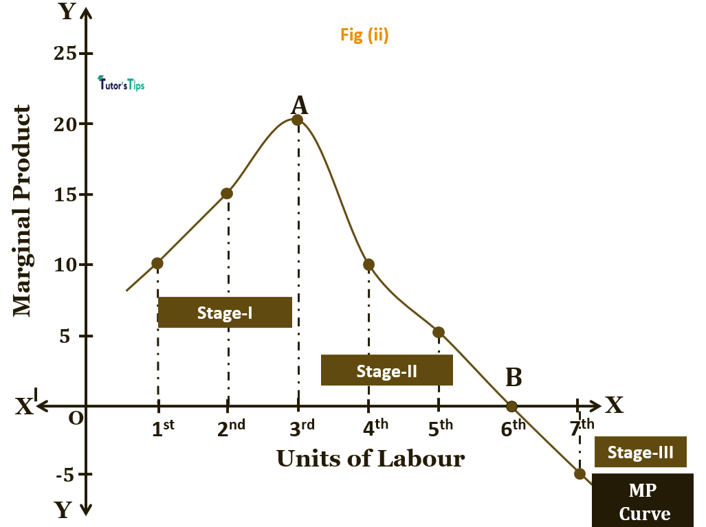 Law of variable proportions - fig(ii)
