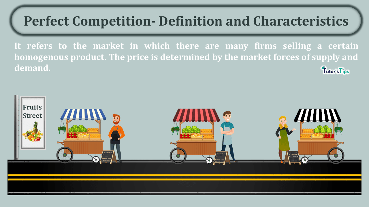 Perfect Competition- Definition and Characteristics