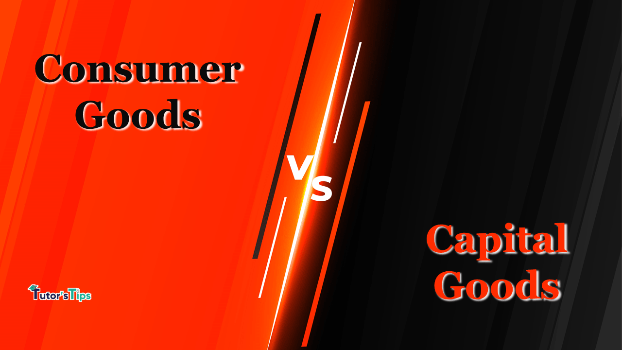 Difference between Consumer Goods and Capital Goods