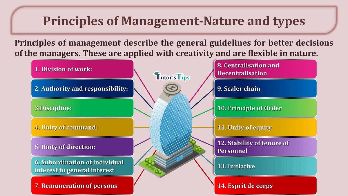Principles of Management-Nature and types