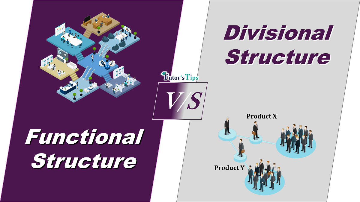 Difference between Functional and Divisional Structure