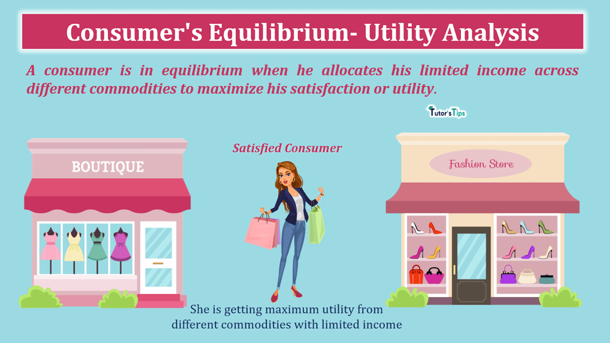 Consumer's Equilibrium- Utility Analysis - In Hindi