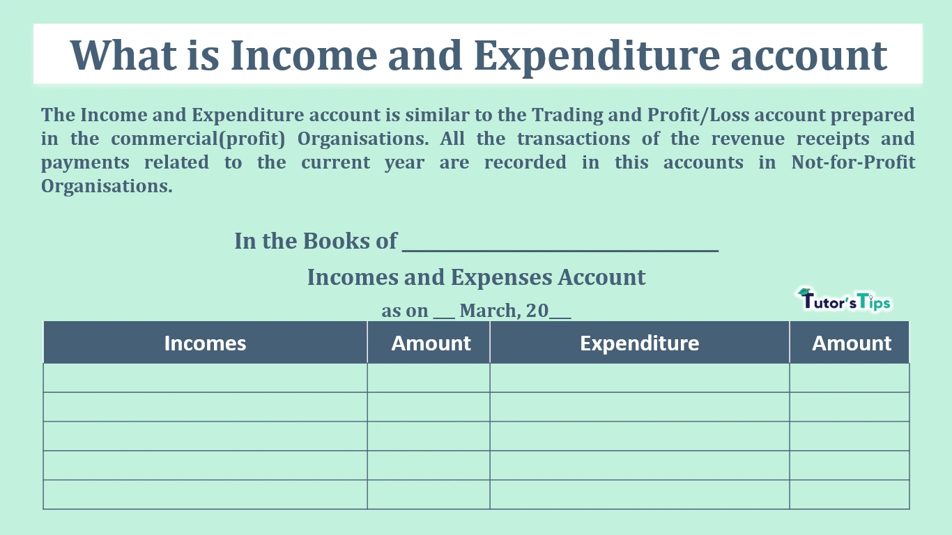 What is Incomes and Expenditures Account - format in Excel & PDF - In Hindi
