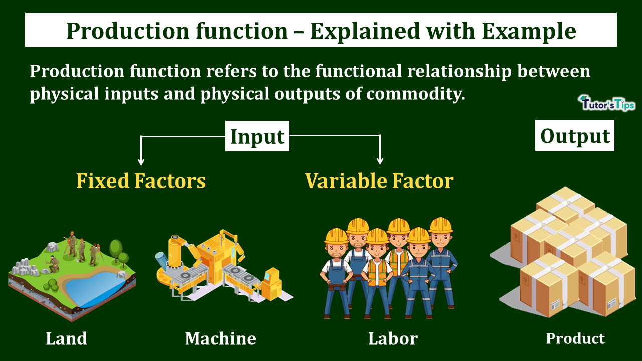 Production Function - Meaning and Types - In Hindi