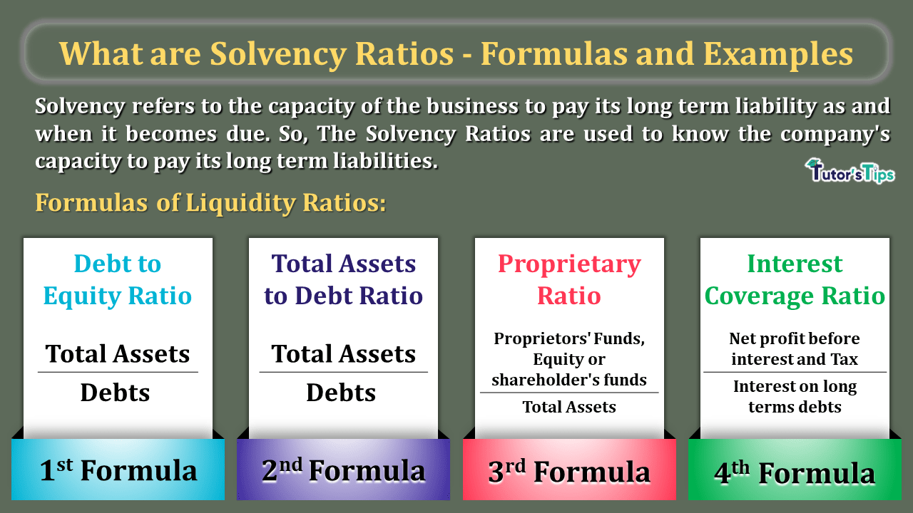 What are Solvency Ratios - Formulas and Examples - In Hindi