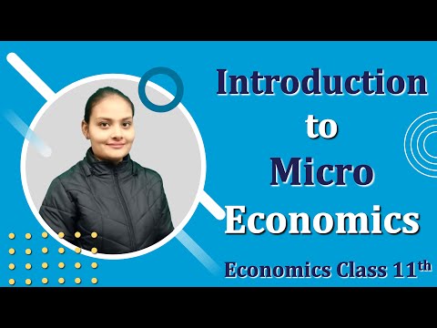 Introduction to microeconomics - Meaning, Introduction &amp; its Assumptions - Explained with animation