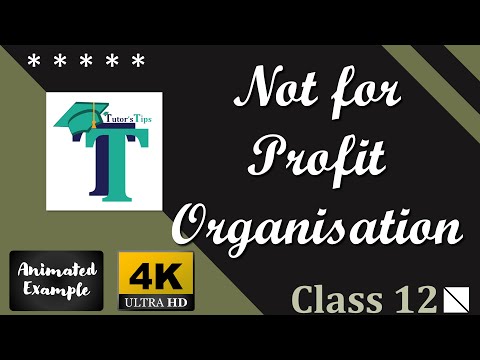 NPO - Not for Profit Organization Class 12 - Explained with Animated Examples