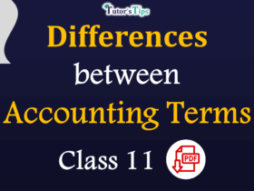 Differences-between-Accounting-terms-of-Class-11-–-Financial-Accounting-min-1