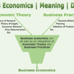 Meaning of Business Economics