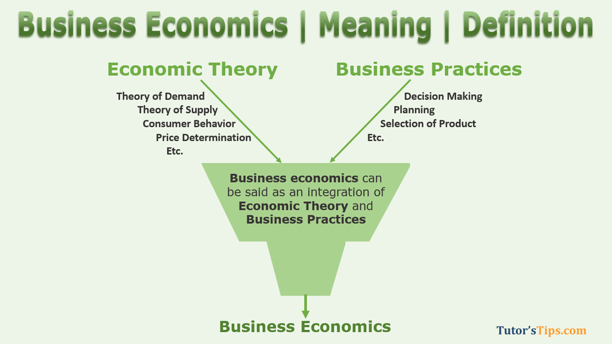 Meaning of Business Economics