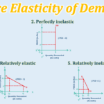 Price-elasticity-of-Demand