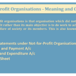 Not-for-Profit Organisations - Meaning and Overview