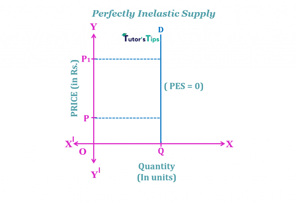 The Elasticity Of Supply- Meaning, Types And Methods – Tutor's Tips