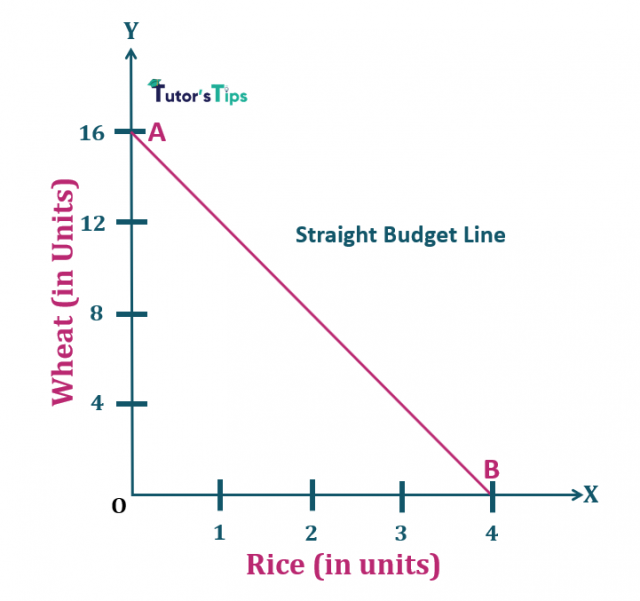 Consumer's Budget Budget set and Budget Line Tutor's Tips