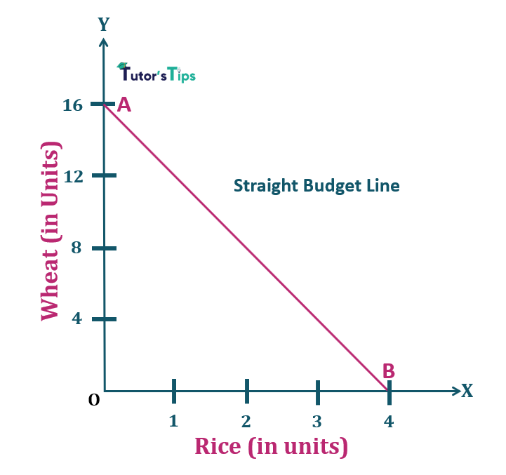 consumer-s-budget-budget-set-and-budget-line-tutor-s-tips