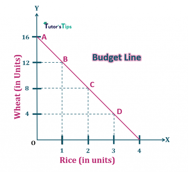 consumer-s-budget-budget-set-and-budget-line-tutor-s-tips