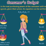 consumer budget