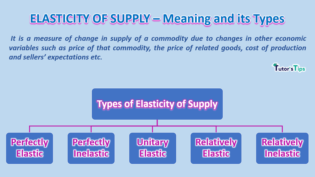 The elasticity of Supply- Meaning, Types and Methods – Tutor's Tips