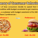 thoery of consumer behaviour