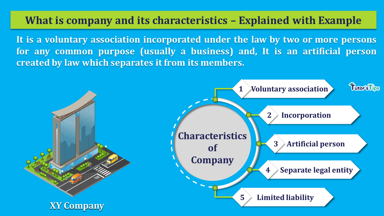 What is the Company and its Characteristics