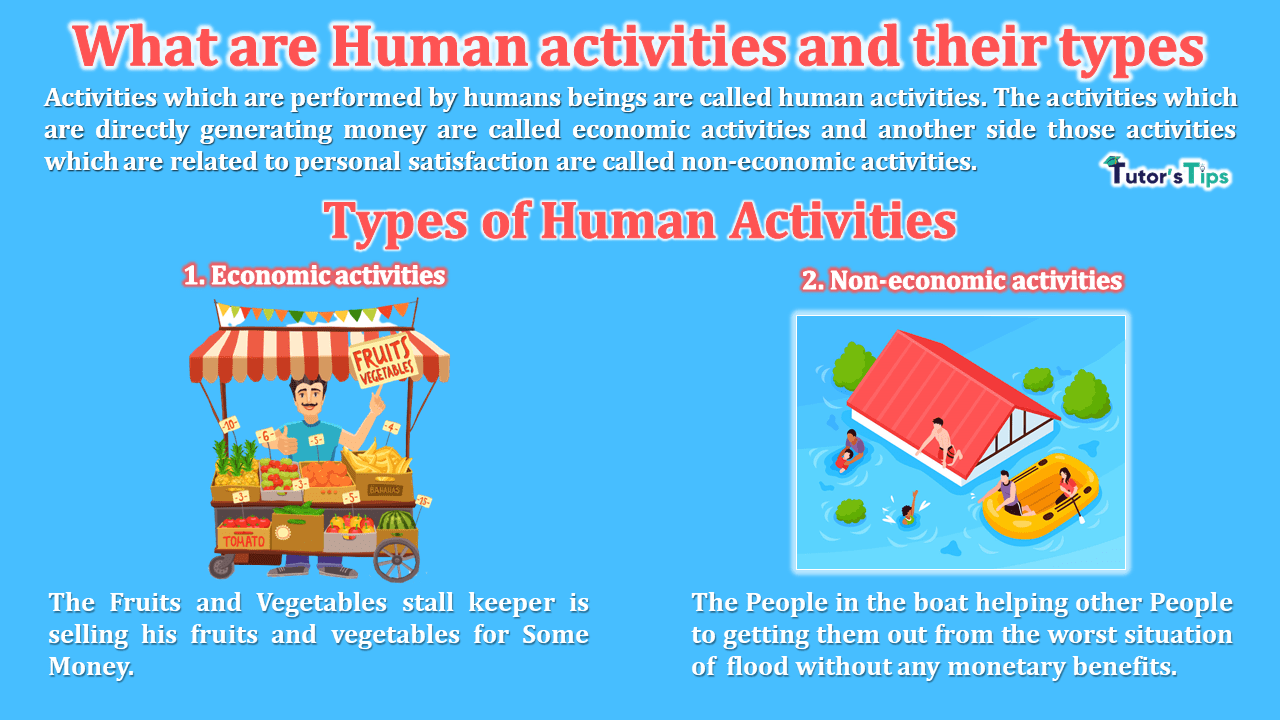 What are Human activities and their types