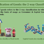 Classification of Goods- the 2-way Classification-min