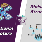 Difference between Functional and Divisional Structure