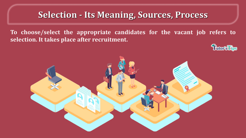 selection-its-meaning-definition-and-process-tutor-s-tips