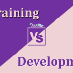 difference between Training and Development