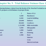 Problem-No-4-Chapter-No-9-Unimax-Class-11