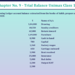 Problem-No-8-Chapter-No-9-Unimax-Class-11