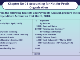 Question no 11 Chapter 1 V K Publication class12