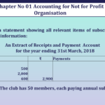 Question no 19 Chapter 1 V K Publication Class 12